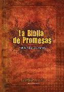 Biblia de Promesas Reina Valera 1960 / Edición Para Jóvenes / Tapa Dura // Spanish Promise Bible Rvr 1960 / Youth Edition / Hardback