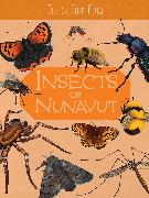 Junior Field Guide: Insects of Nunavut