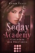 Gefangene der Finsternis (Seday Academy 4)