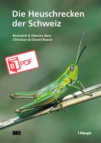 Vorderes Coverbild Die Heuschrecken der Schweiz