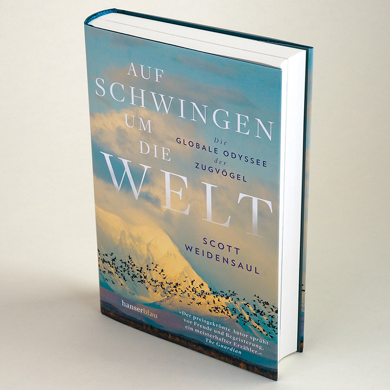 Beispielinhalt (Bild) Auf Schwingen um die Welt