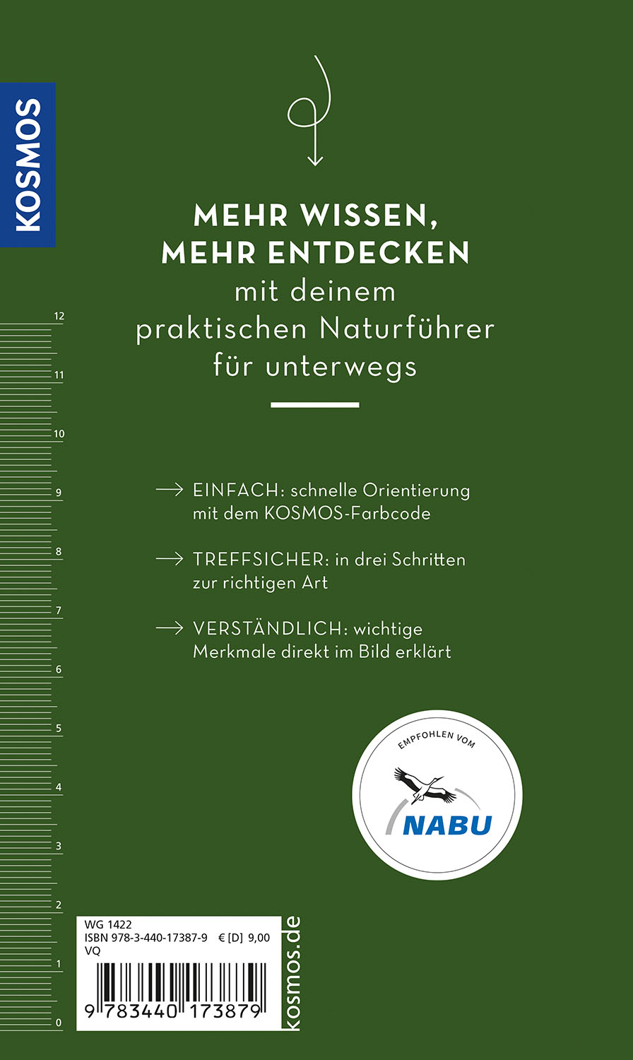 Rückseitencover BASIC Pilze
