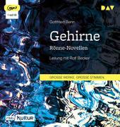 Gehirne. Rönne-Novellen