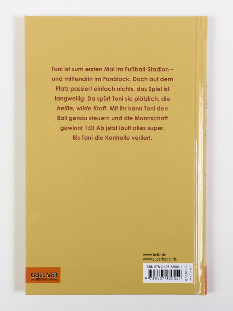 Rückseitencover Die 95. Minute