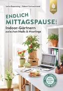 Endlich Mittagspause! Indoor-Gärtnern zwischen Mails und Meetings mit Pflücksalat, Sprossen & Co