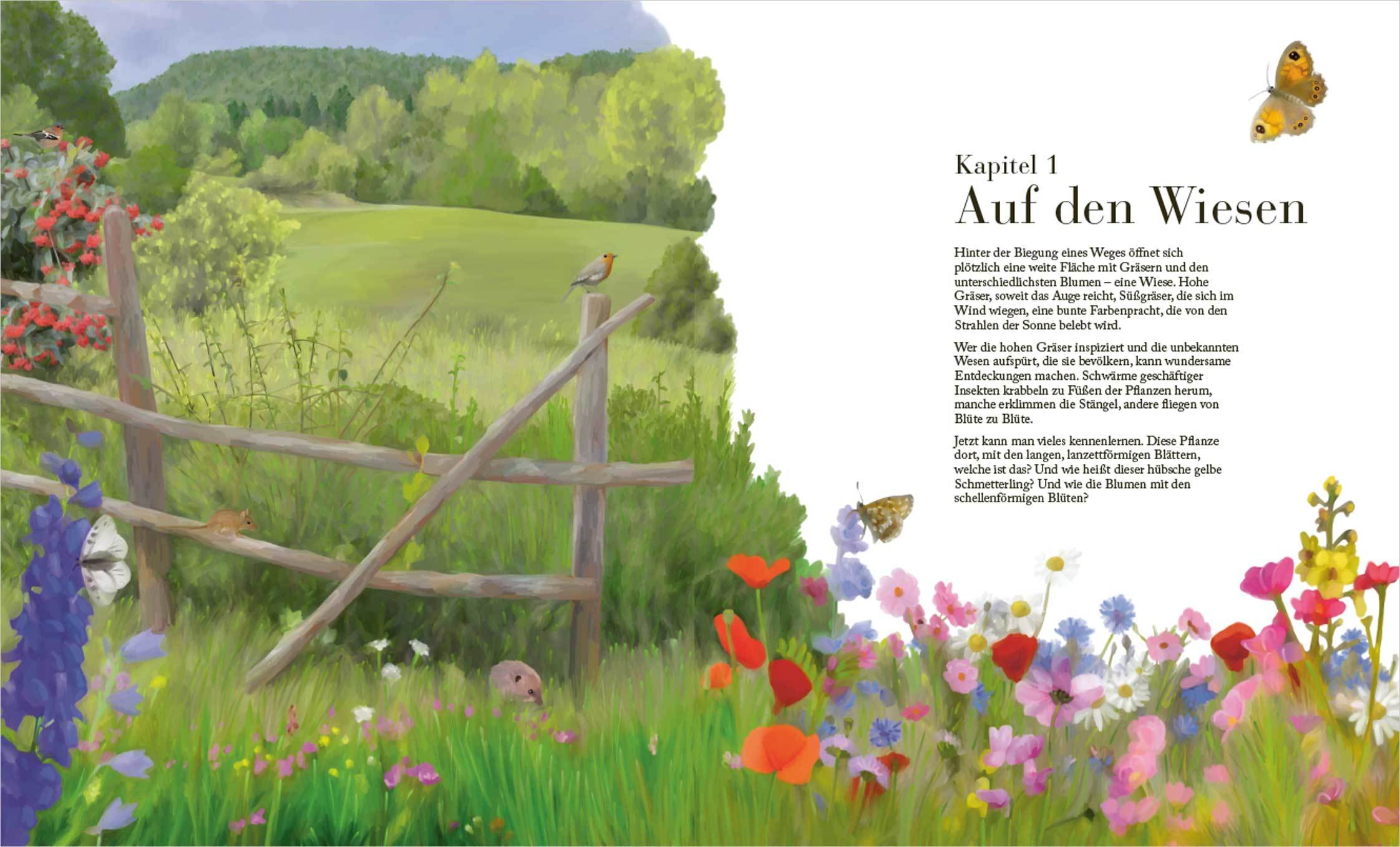 Beispielinhalt (Bild) Der große Naturführer. Pflanzen, Tiere, Wolken und Sternbilder bestimmen. Nach Lebensräumen gegliedert