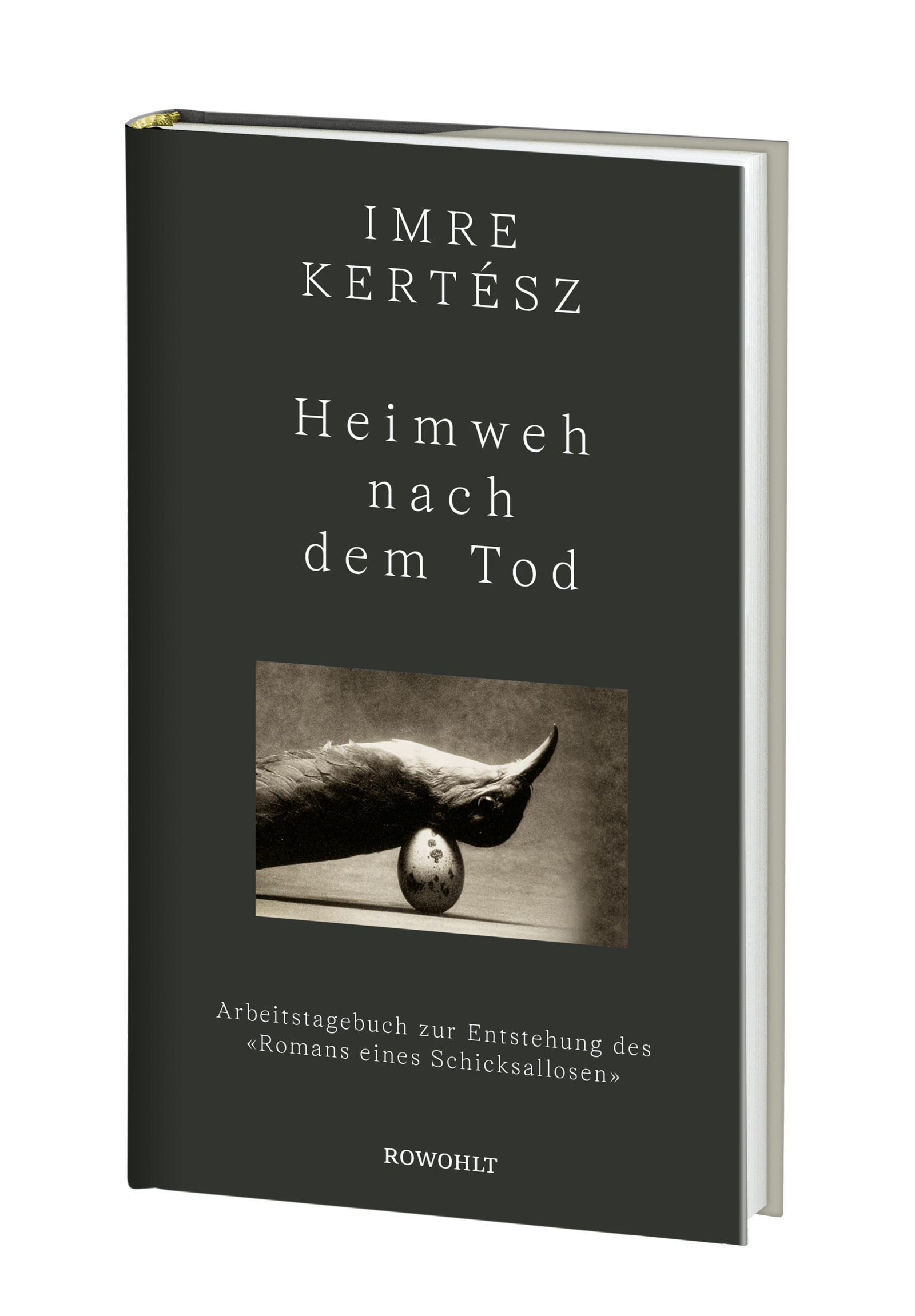 Anderes Coverbild Heimweh nach dem Tod