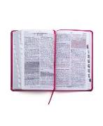 Santa Biblia de Promesas Reina Valera 1960 / Tamaño Manual / Letra Grande / Piel Especial Con Índice / Fucsia // Spanish Promise Bible Rv60 / Handy Size / Large Print / Leathersoft with Index / Fuchsia