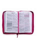 Santa Biblia de Promesas Reina Valera 1960 / Tamaño Manual / Letra Grande / Piel Especial Con Cierre / Fucsia // Spanish Promise Bible Rv60 / Handy Size / Large Print / Leathersoft with Zipper / Fuchsia