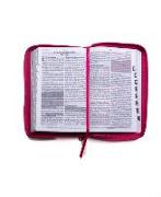 Santa Biblia de Promesas Reina Valera 1960 / Tamaño Manual / Letra Grande / Piel Especial Con Índice Y Cierre / Fucsia // Spanish Promise Bible Rv60 / Handy Size / Large Print / Leathersoft with Index and Zipper / Fuchsia