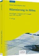 Bilanzierung in Fällen