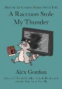 A Raccoon Stole My Thunder