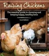 Raising Chickens