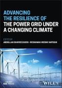 Advancing the Resilience of the Power Grid under a Changing Climate