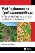 Plant Transformation via Agrobacterium tumefaciens