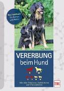 Vererbung beim Hund