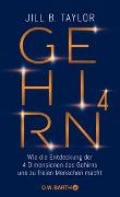 Gehirn^4