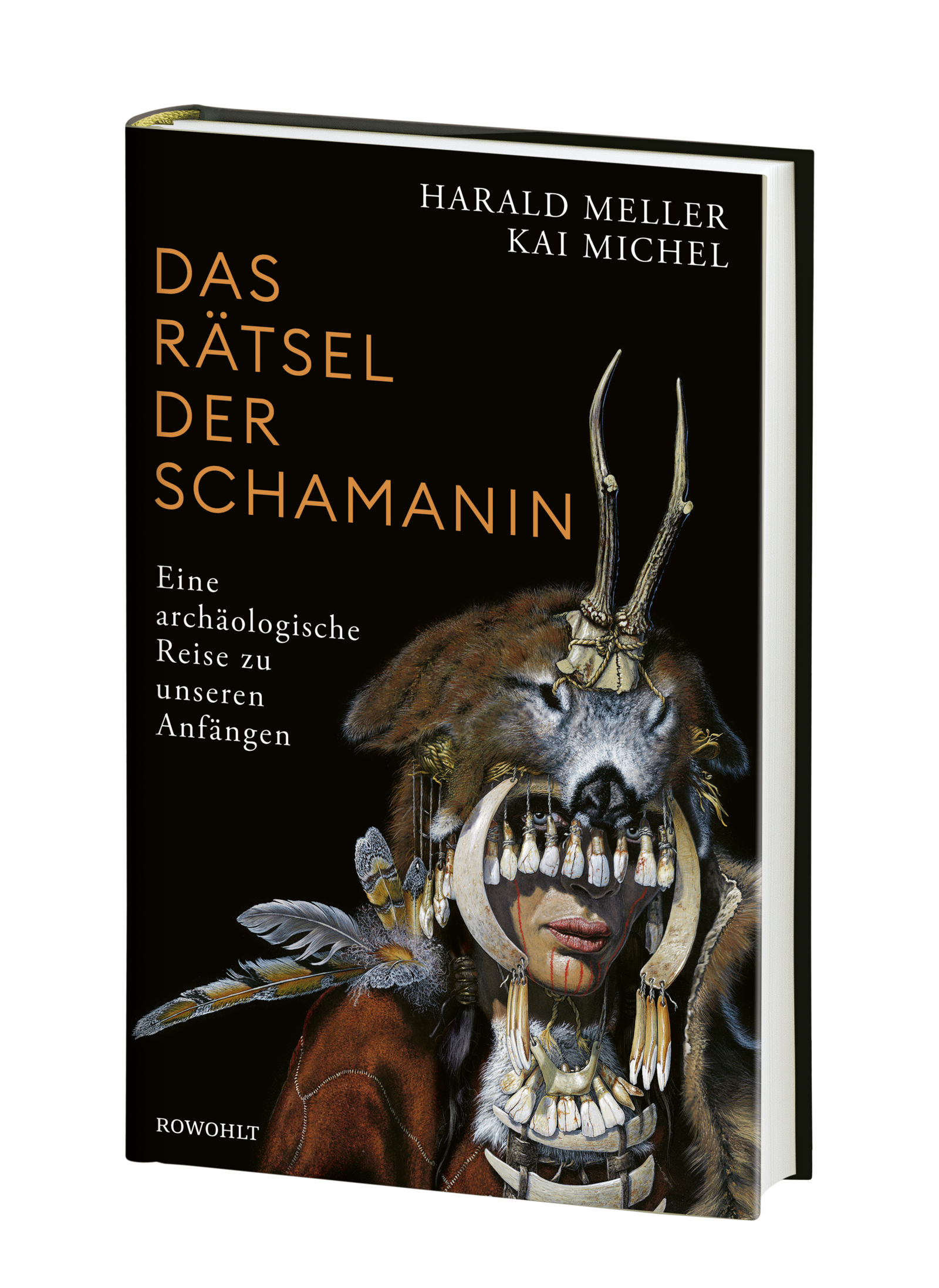 Anderes Coverbild Das Rätsel der Schamanin