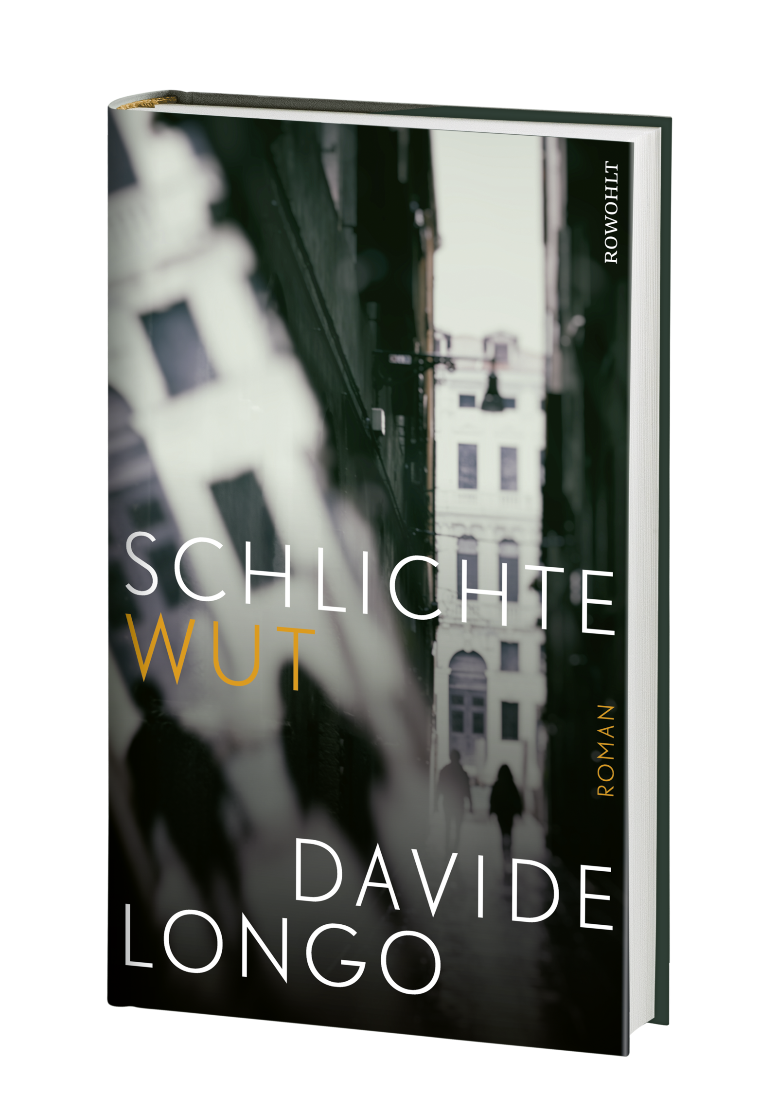 Anderes Coverbild Schlichte Wut