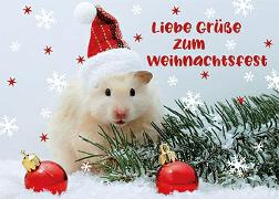 Postkarte. Zum Weihnachtsfest (Maus)