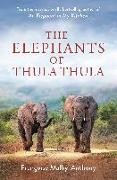 The Elephants of Thula Thula