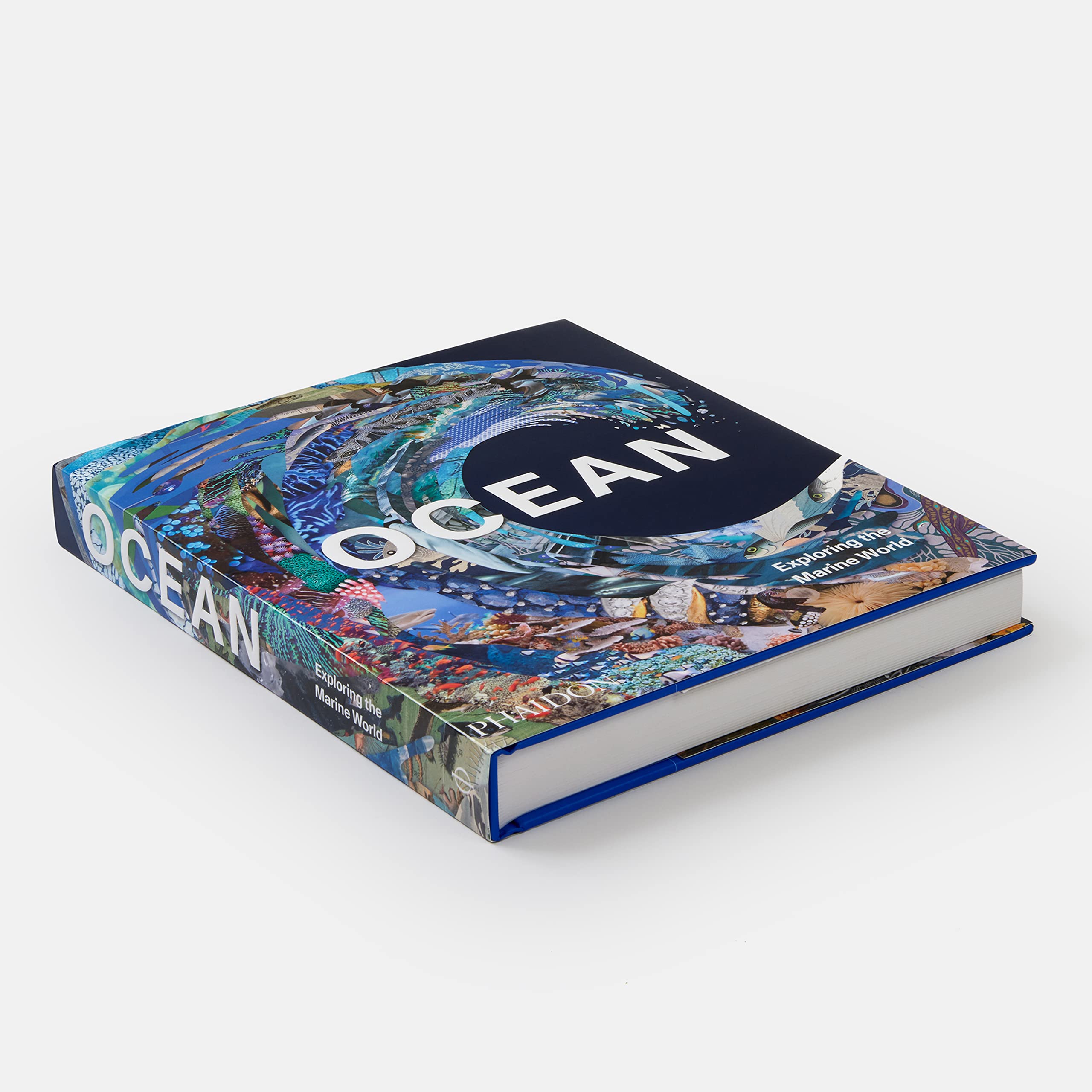 Beispielinhalt (Bild) Ocean
