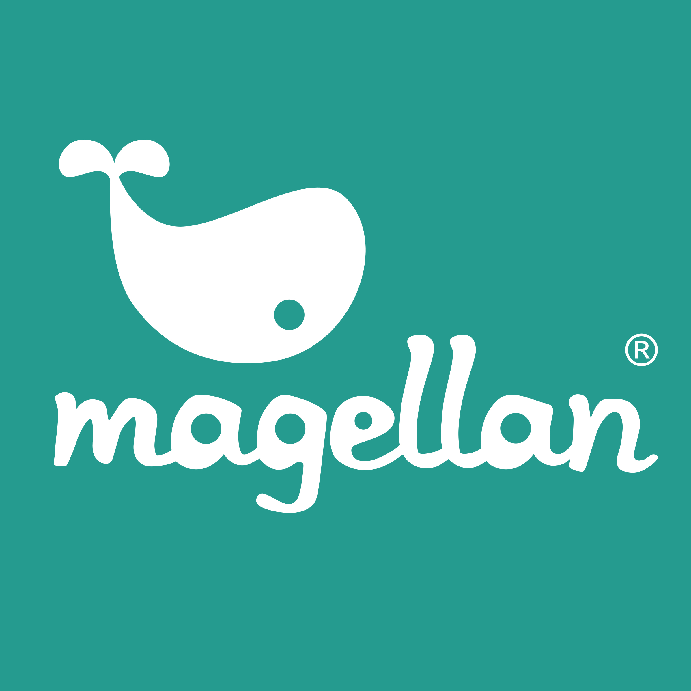 Master-Brand-Logo Happy Bingo - Animals