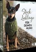 Strick-Lieblinge für deinen Hund