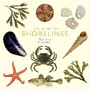 The Little Guide to Shorelines