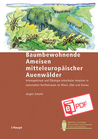 Vorderes Coverbild Baumbewohnende Ameisen mitteleuropäischer Auenwälder
