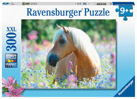 Vorderes Coverbild Kinderpuzzle 300 XXL Teile - Pferd im Blumenmeer