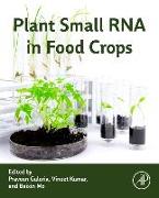 Plant Small RNA in Food Crops