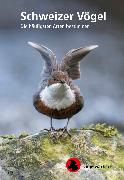 Vorderes Coverbild Schweizer Vögel