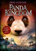 Panda Kingdom - Düsterer Drachenberg