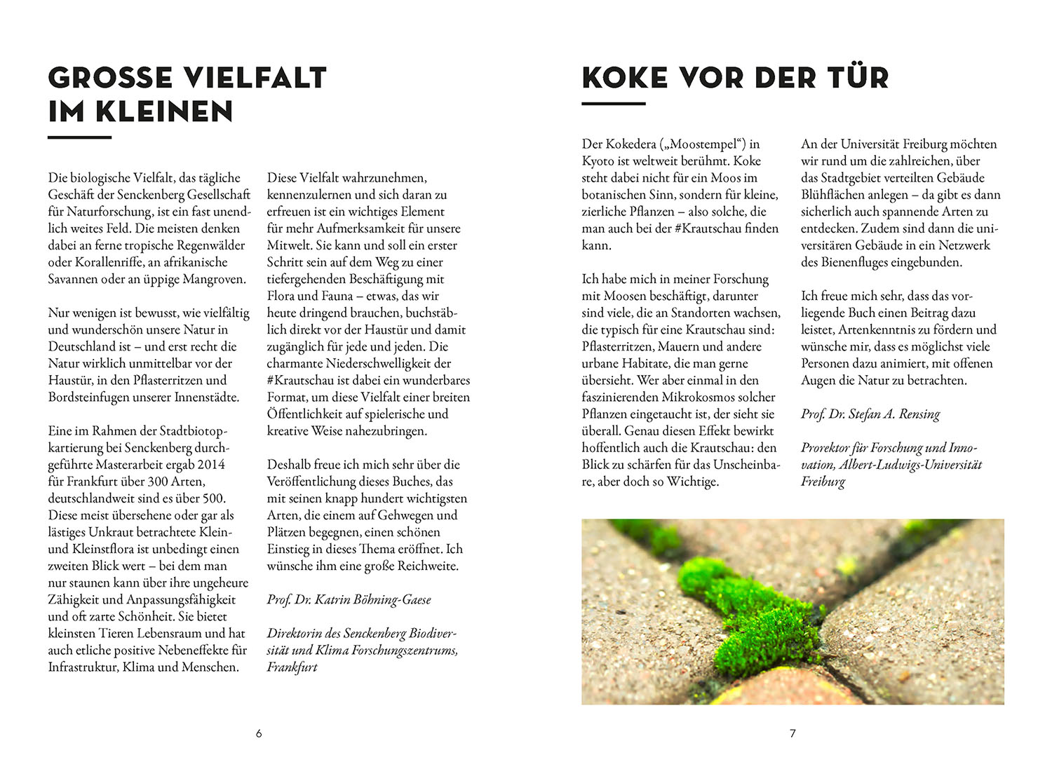Beispielinhalt (Bild) Das wächst in deiner Stadt