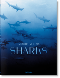 Vorderes Coverbild Michael Muller. Sharks