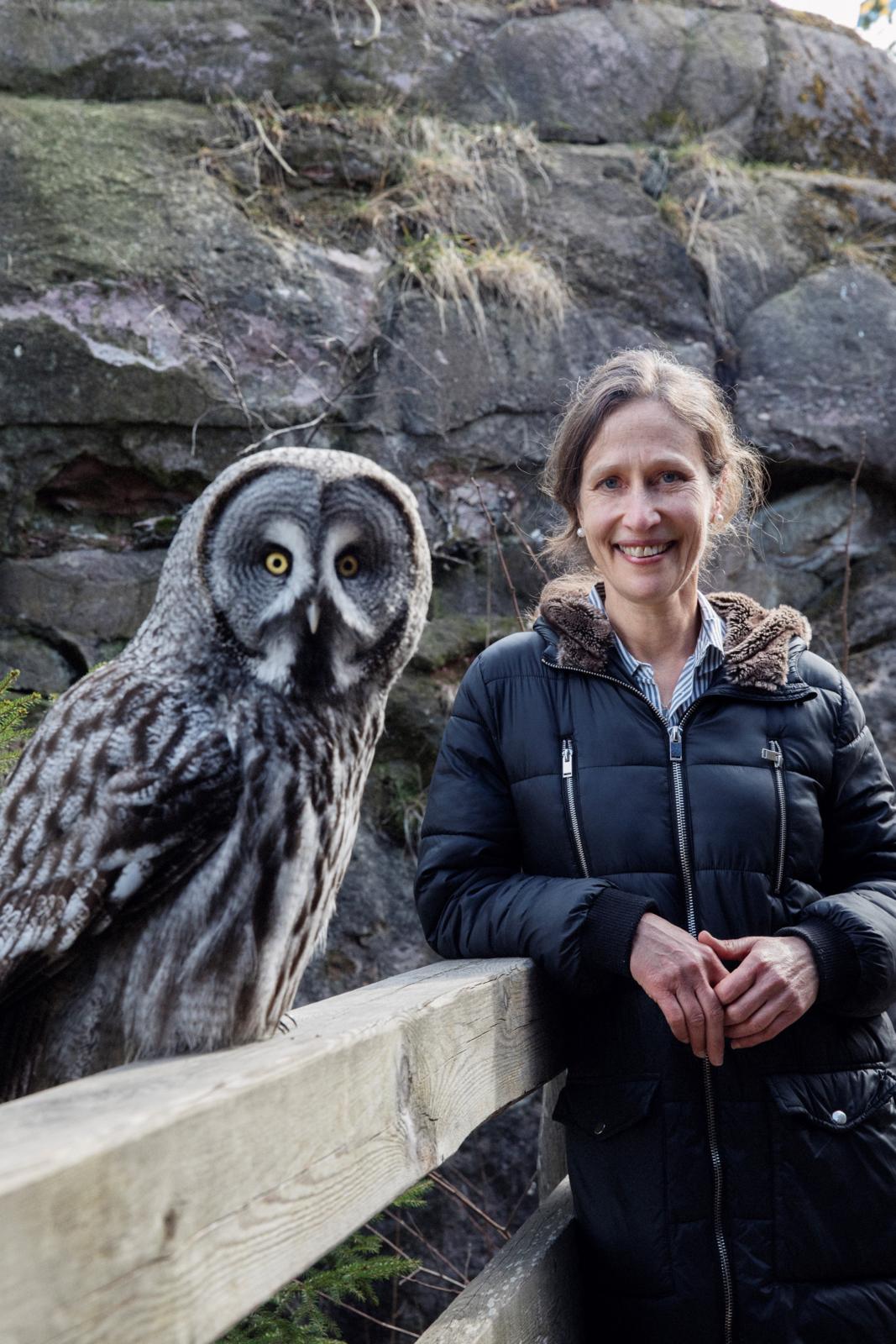Bild des Mitwirkenden Die geheime Welt der Vögel