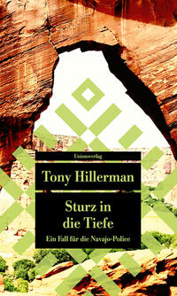 Vorderes Coverbild Sturz in die Tiefe