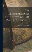 On Mathematical Concepts Of The Material World