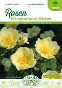 Rosen für naturnahe Gärten