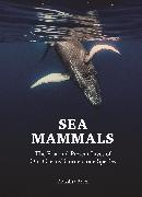 Sea Mammals