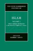 The New Cambridge History of Islam: Volume 4, Islamic Cultures and Societies to the End of the Eighteenth Century