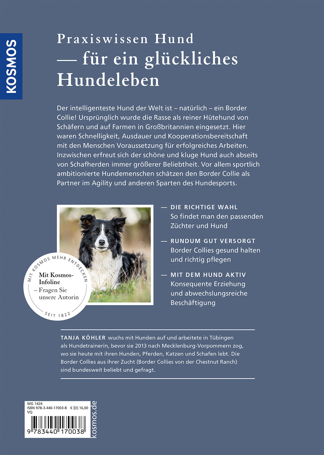 Rückseitencover Border Collie
