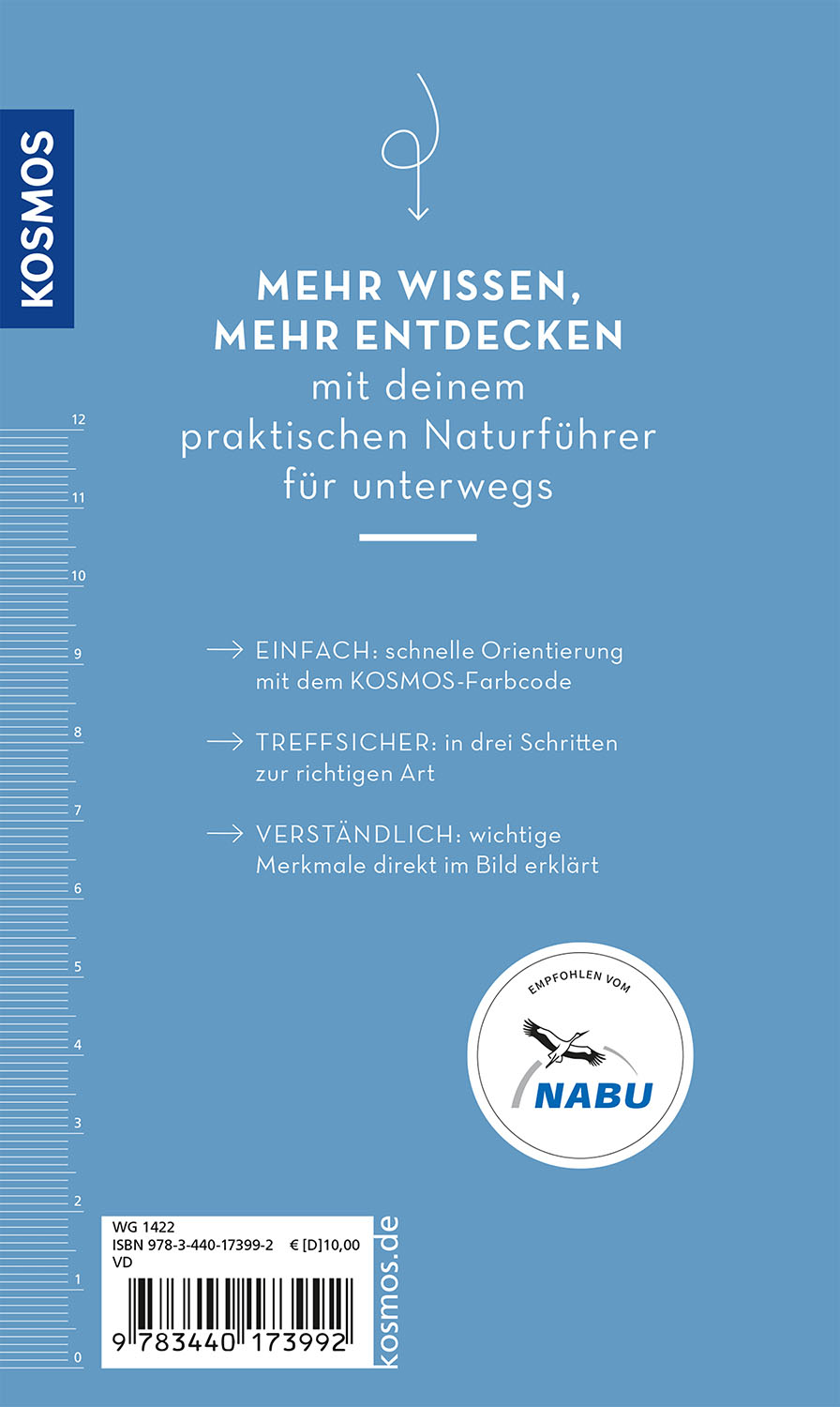 Rückseitencover Basic Alpenblumen