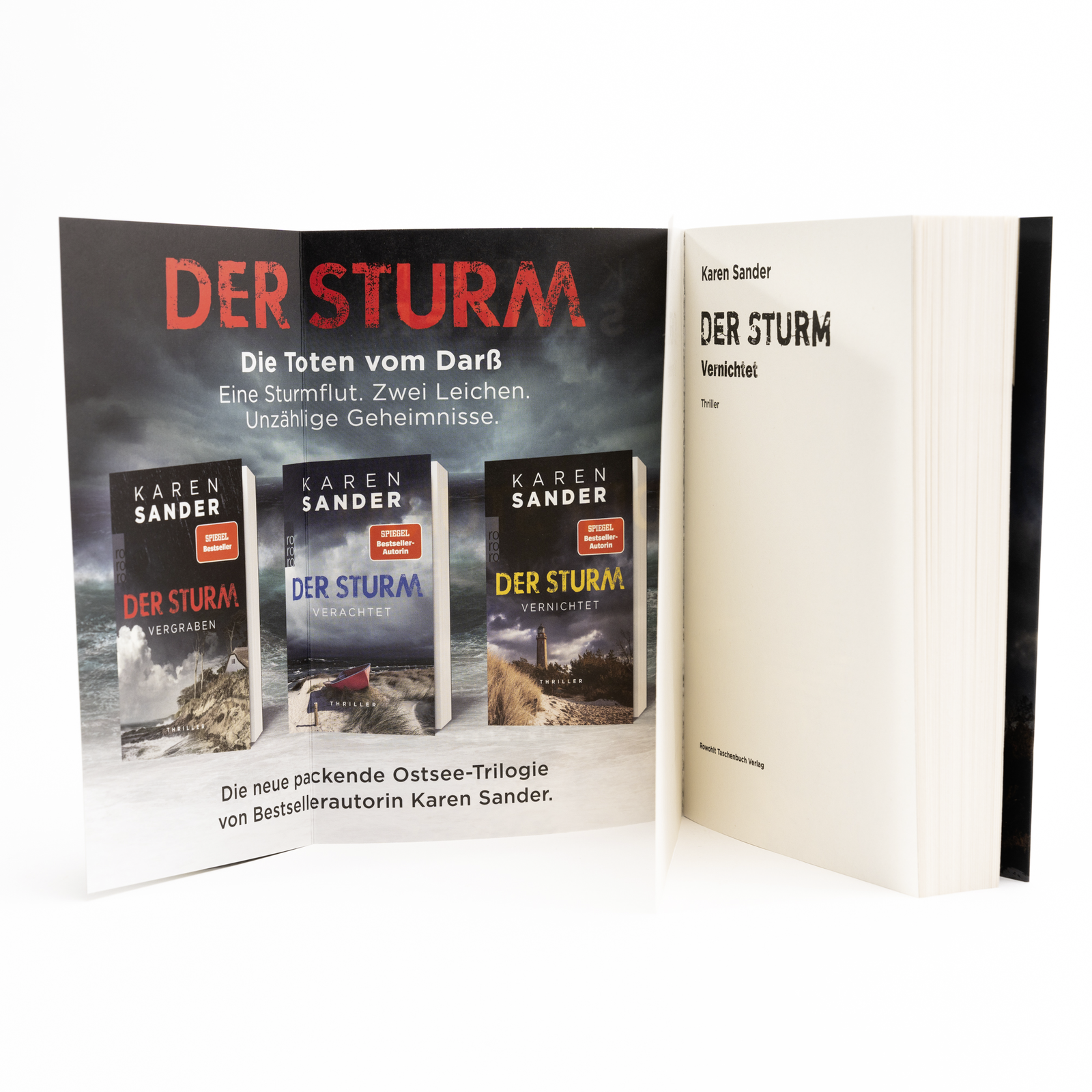 Beispielinhalt (Bild) Der Sturm: Vernichtet