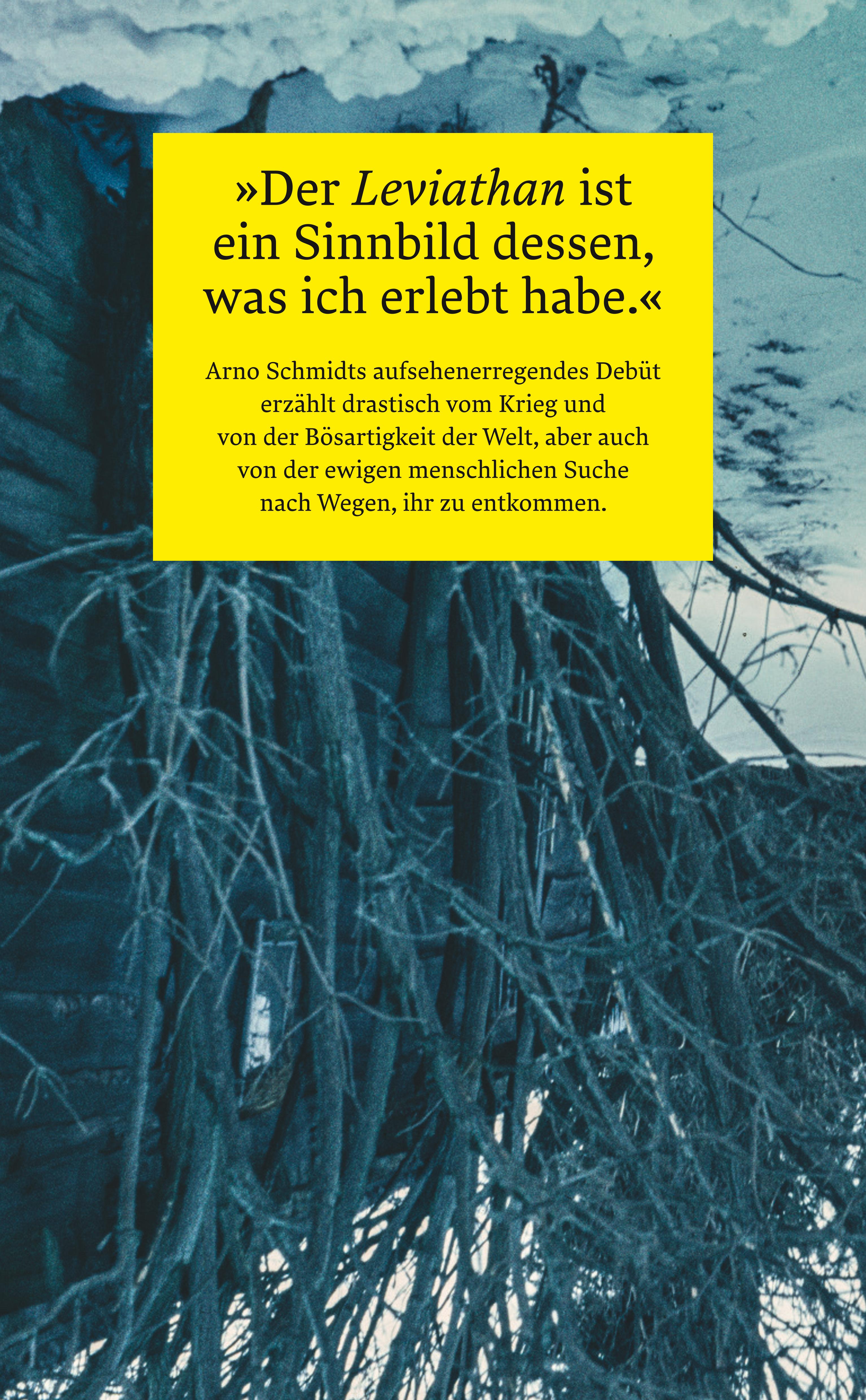 Rückseitencover Leviathan oder Die Beste der Welten. Gadir oder Erkenne dich selbst. Enthymesis oder W.I.E.H