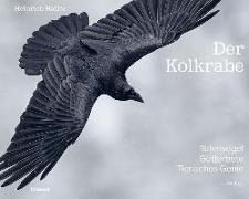 Der Kolkrabe – Totenvogel, Götterbote, tierisches Genie