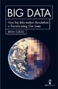 Vorderes Coverbild Big Data