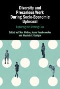 Diversity and Precarious Work During Socio-Economic Upheaval