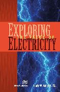 Exploring the Value of Electricity